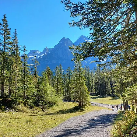 Arvenwald Apartament Kandersteg