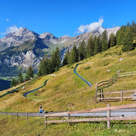 Arvenwald Kandersteg