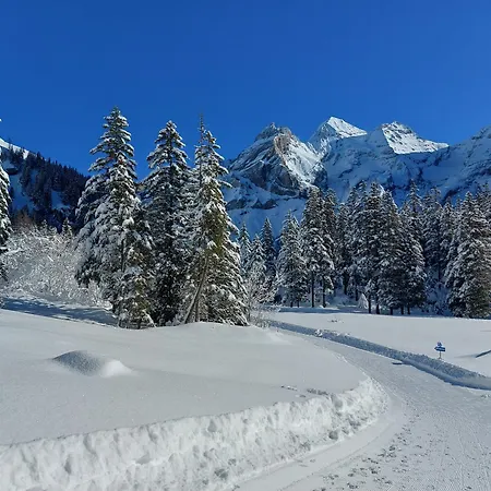Arvenwald Kandersteg