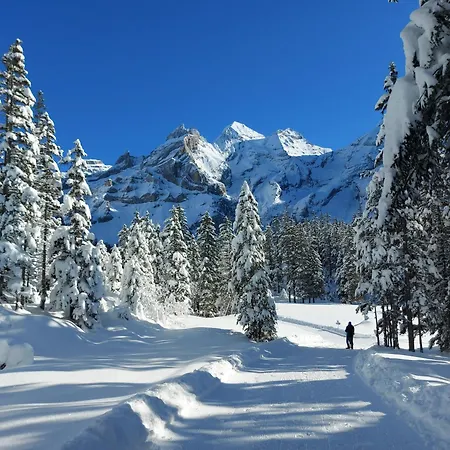 Arvenwald * Kandersteg