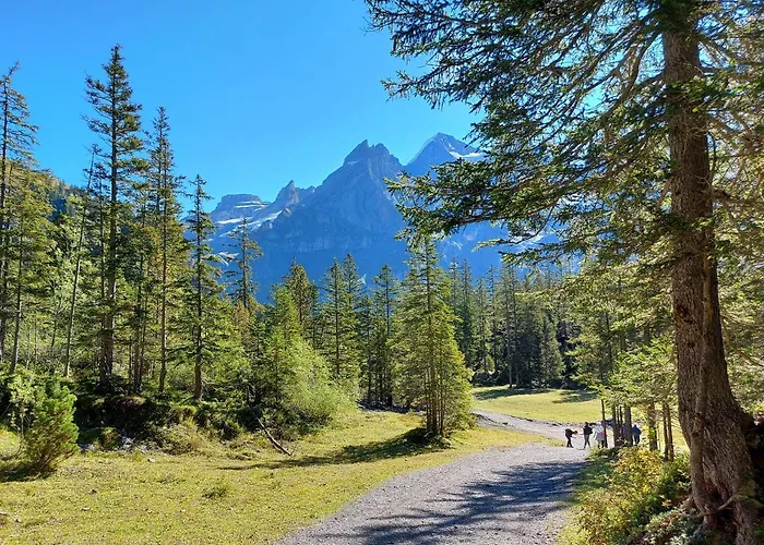 Arvenwald Appartement Kandersteg