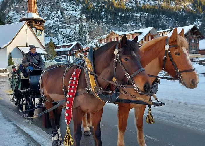 Arvenwald Appartement *