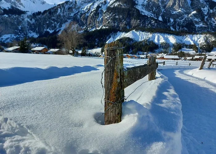 Arvenwald Kandersteg