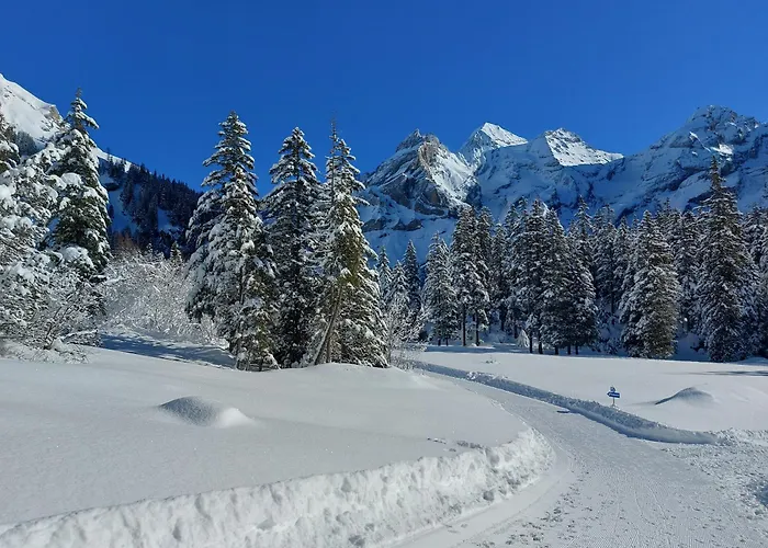 Arvenwald Kandersteg