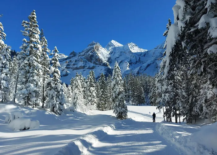 Arvenwald * Kandersteg