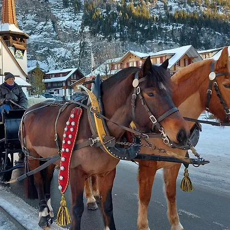 Arvenwald דירה *